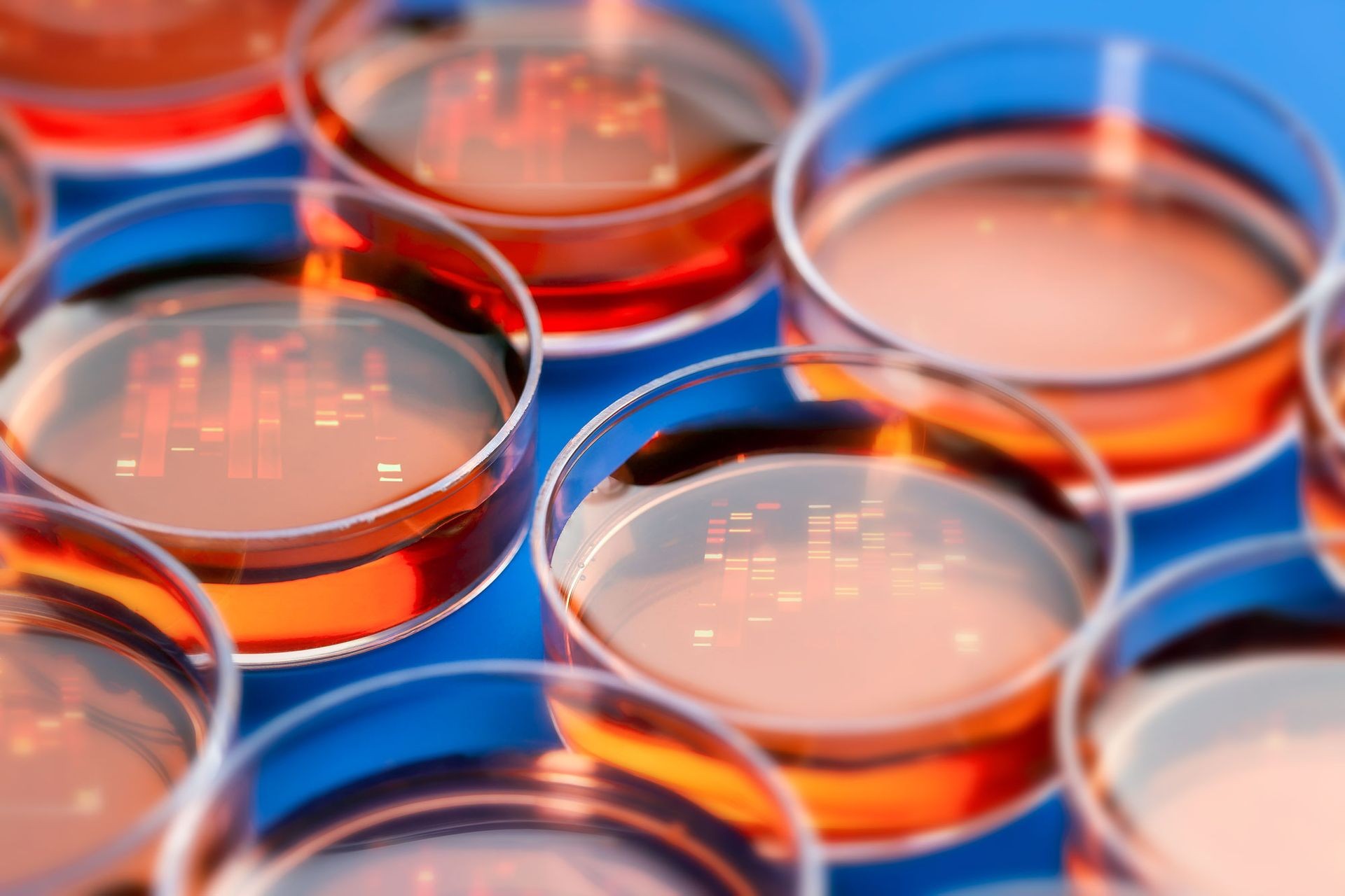 Personalized Cancer Therapy Plans
